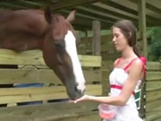 苗條美少女在馬棚喂馬